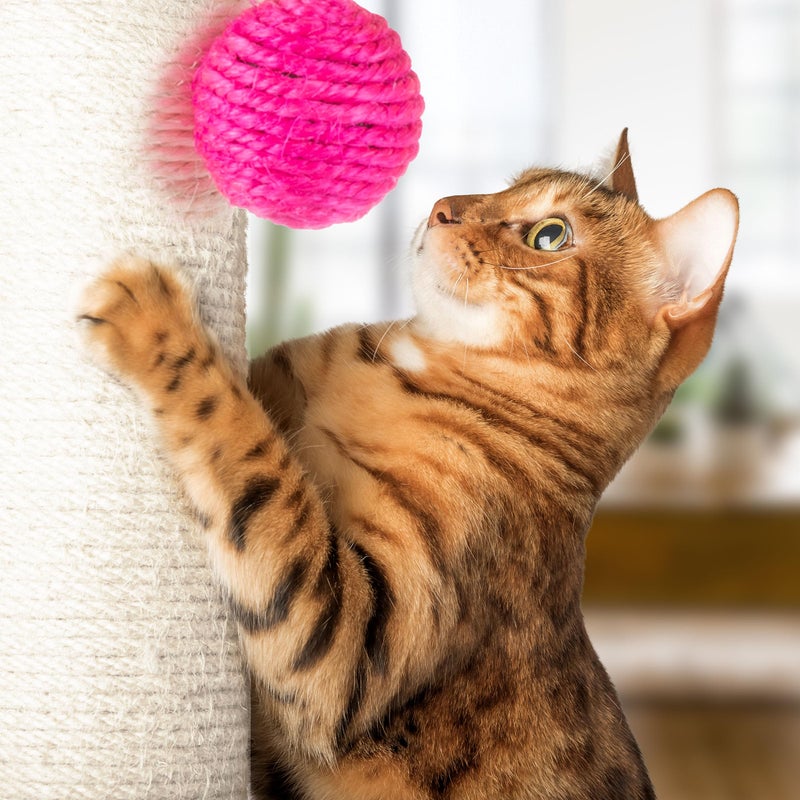 PETMAKER 17-Inch Cat Scratching Post - Sisal Rope and Carpet Scratching Pole with Bright Pink Hanging Ball Toy for Adult Cats and Kittens by PETMAKER (Gray) - Image 5